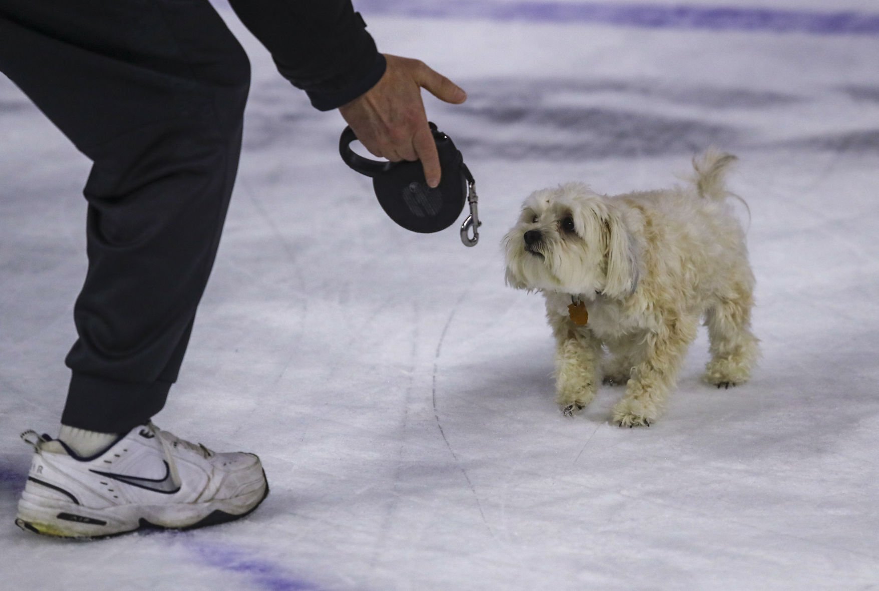 021819-qct-spt-storm-hockey-040
